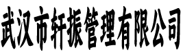 武汉轩振管理